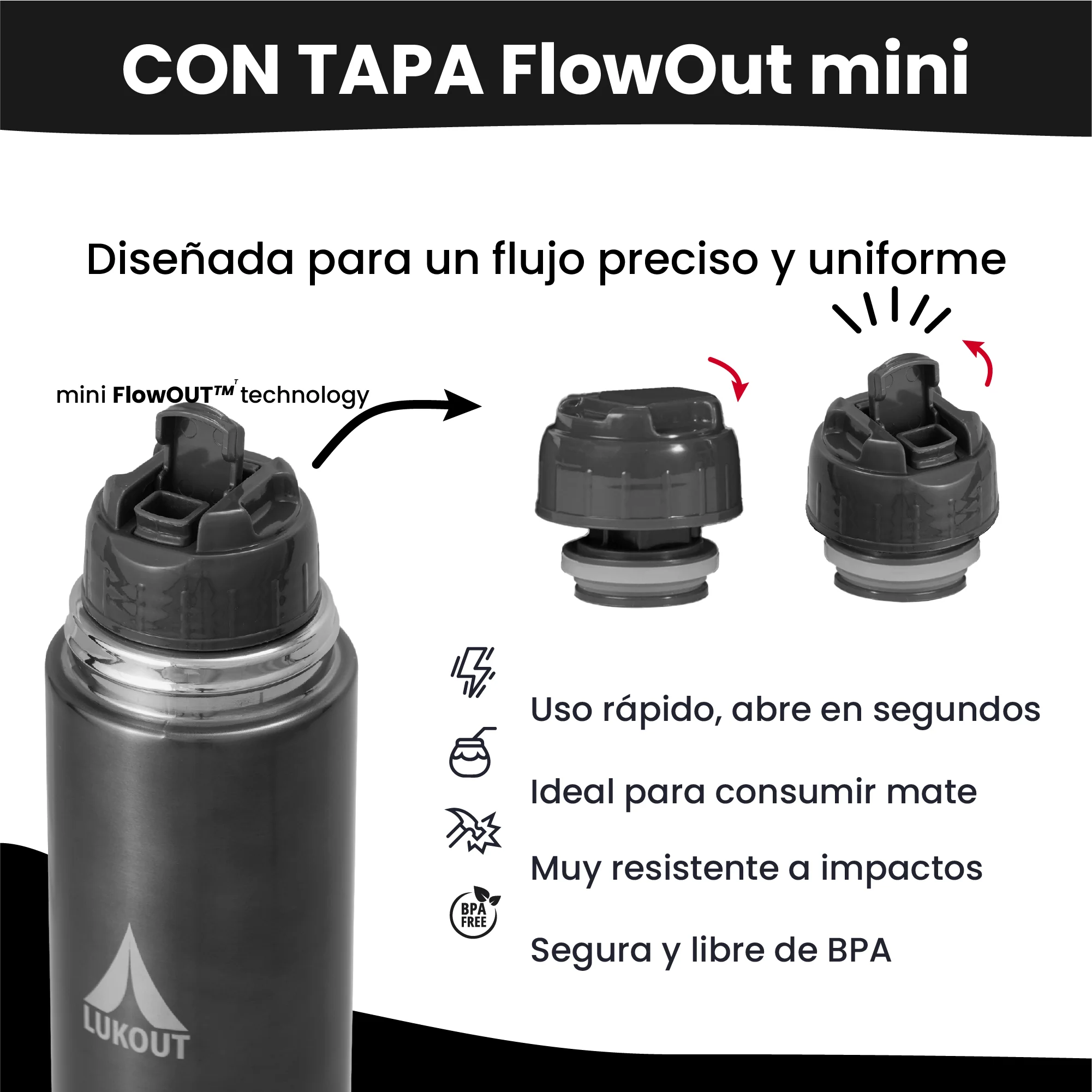Miniatura 12