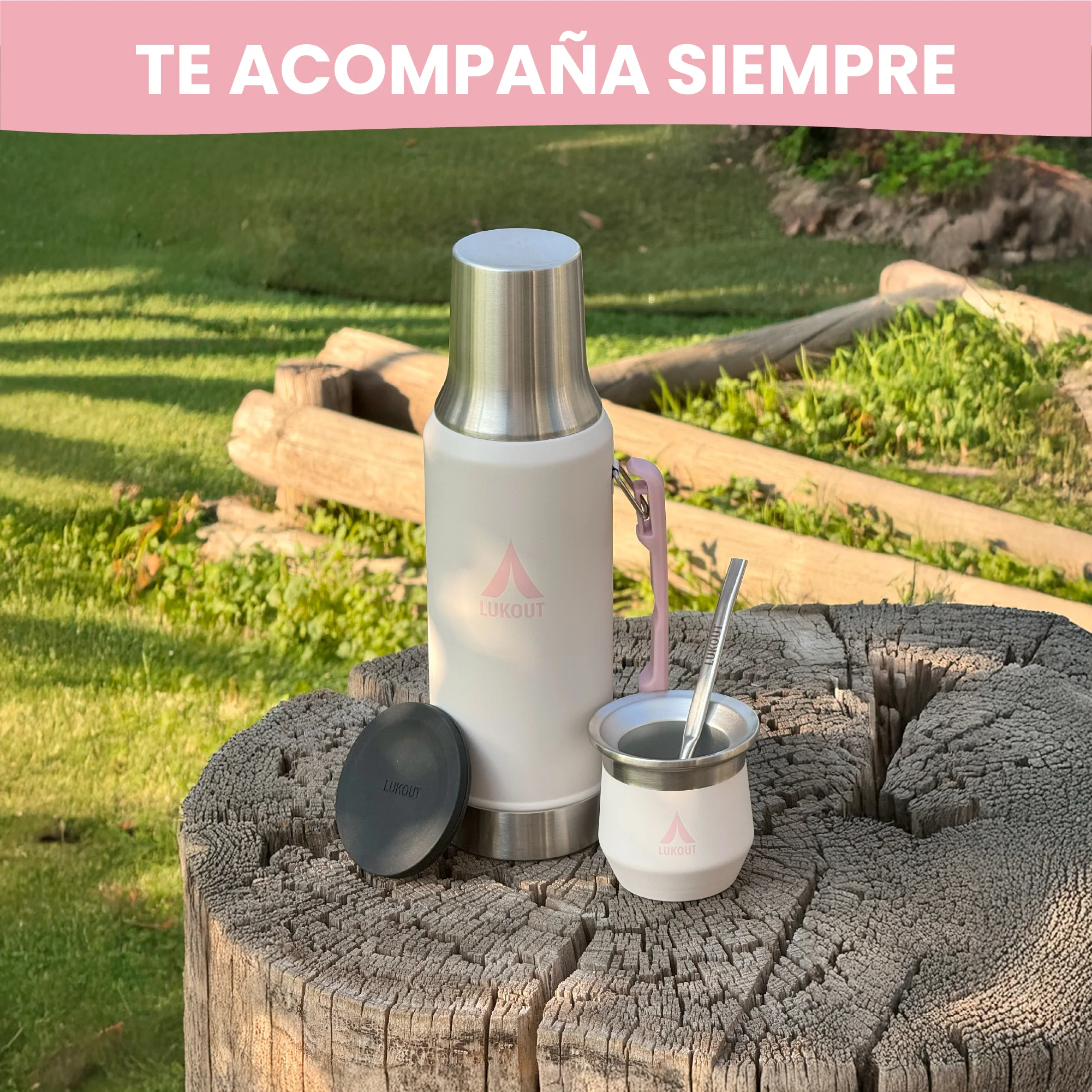 Miniatura 13